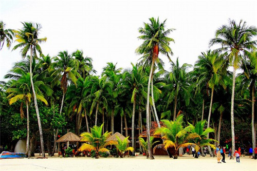 一路飘香小吃车