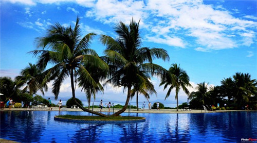 石代鲜疯石锅饭