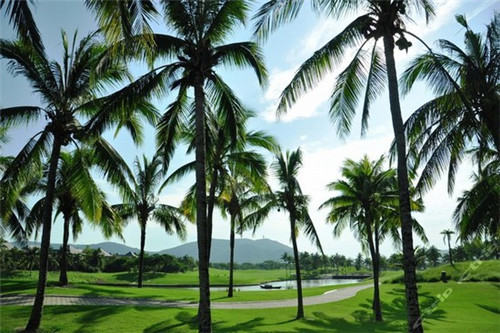 防脱发10大品牌