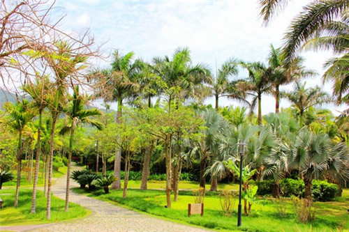 干草花束制作方法步骤（干花干草怎么做）