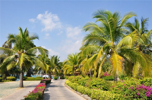 亨迪克寿司汉堡在隰县有几家加盟店